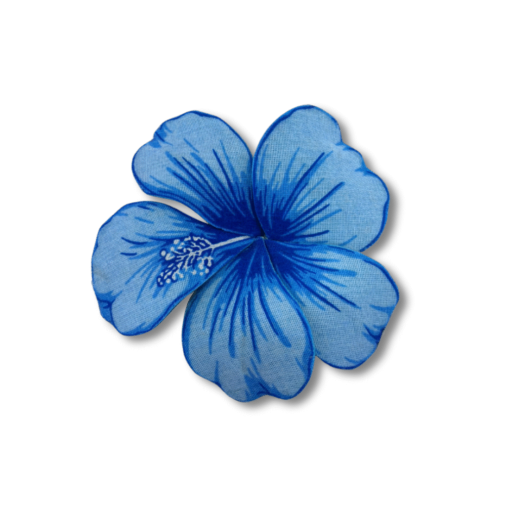 Hibisco azul - Imagem 4