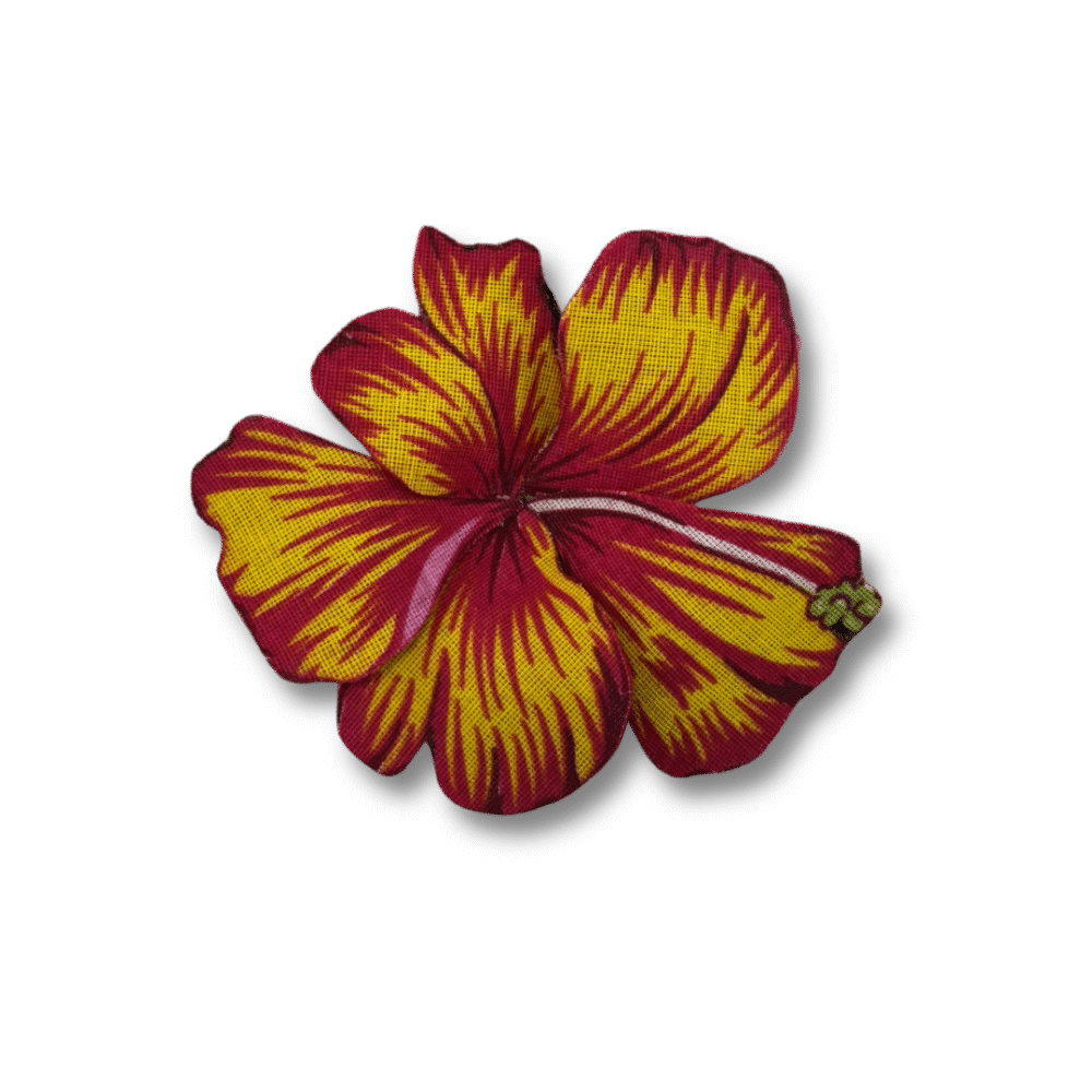 Hibisco vermelho - Imagem 4