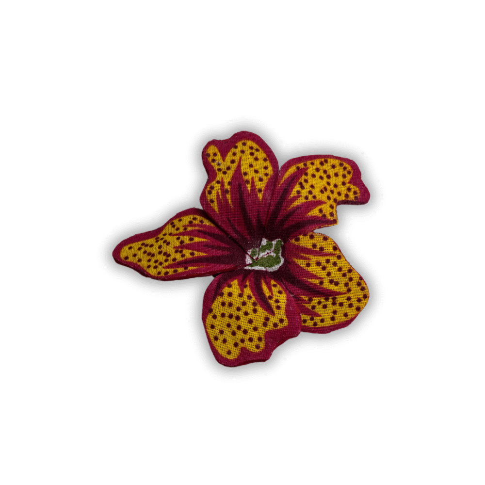 Pitaya vermelha - Imagem 5