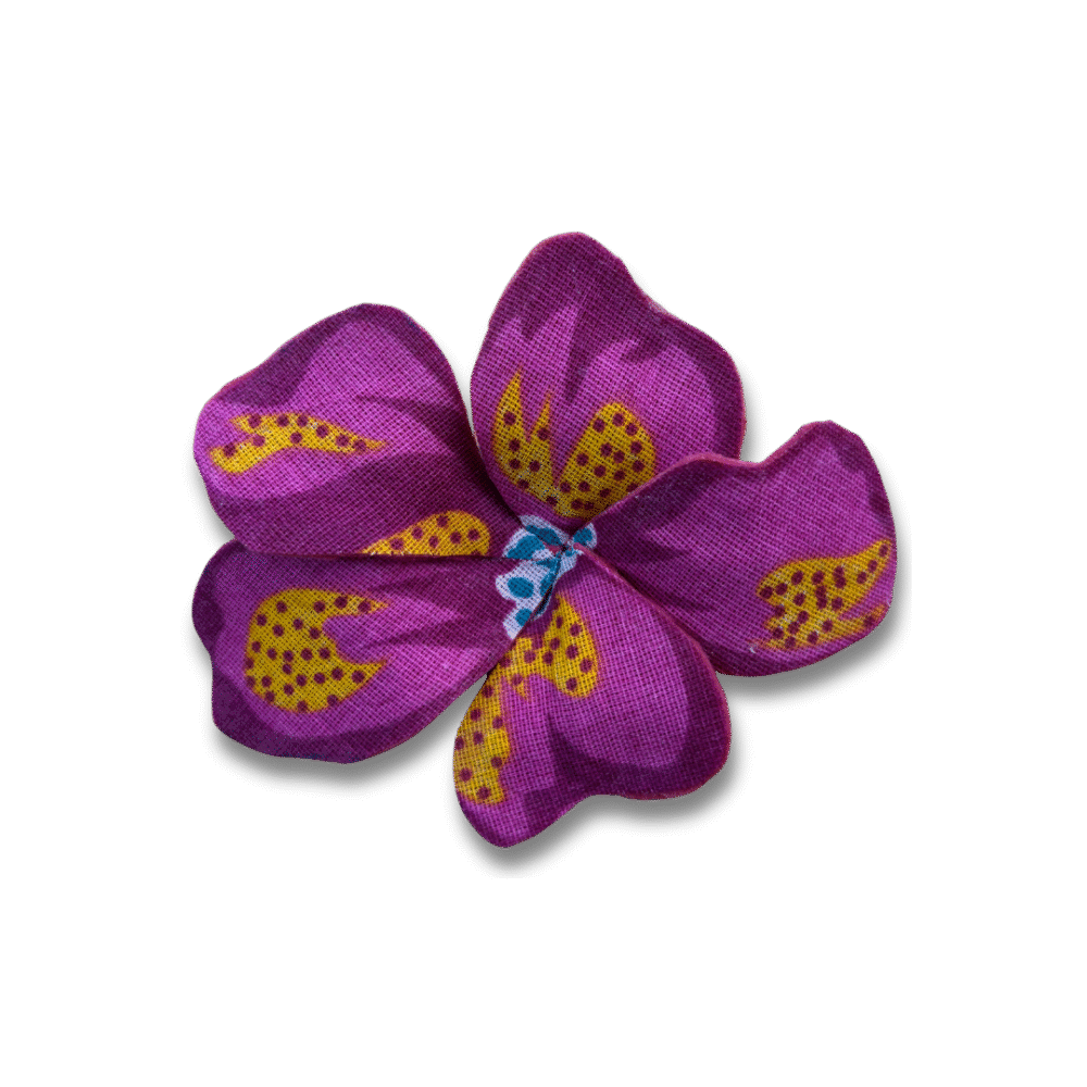 Pitaya rosa - Imagem 5
