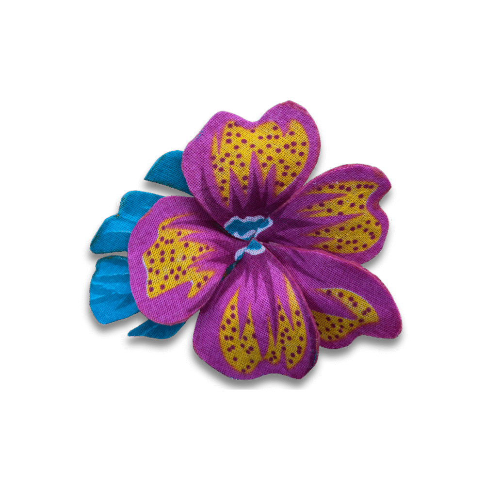 Pitaya rosa c/folhagem azul - Imagem 5