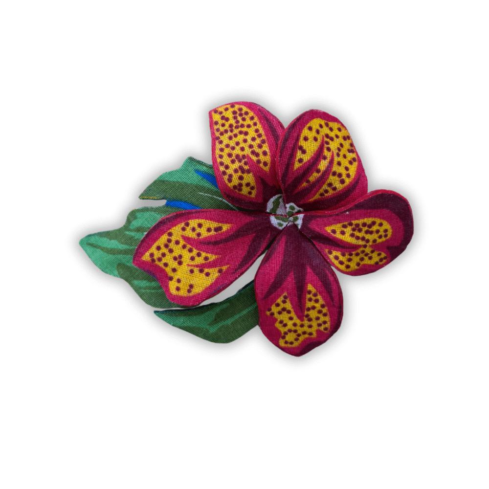 Pitaya vermelha c/folhagem - Imagem 5