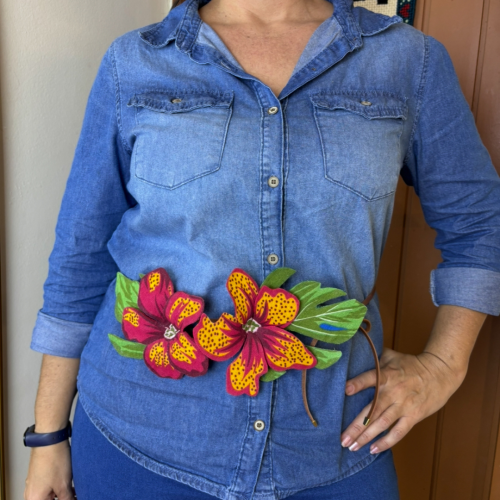 Aplicação Pitaya vermelha2